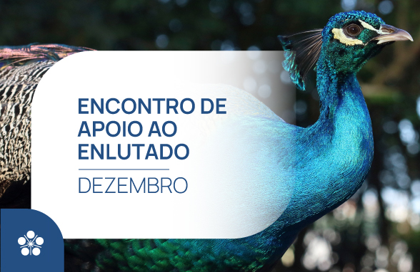 Encontro_de_apoio_ao_luto_cerejeiras_Dezembro_2025