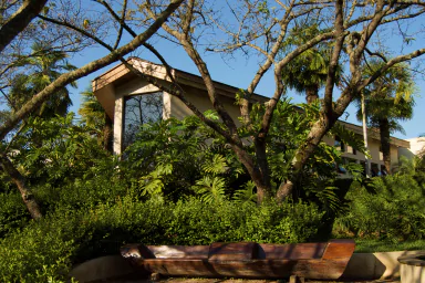 Imagem de um ambiente natural com vegetação exuberante e uma construção moderna ao fundo, ideal para projetos de paisagismo e arquitetura.