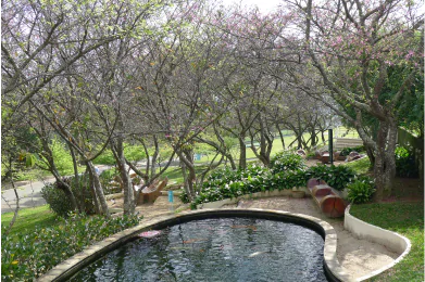 Vista serena de um jardim com piscina cercada por árvores e vegetação, ideal para relaxamento e contemplação da natureza.