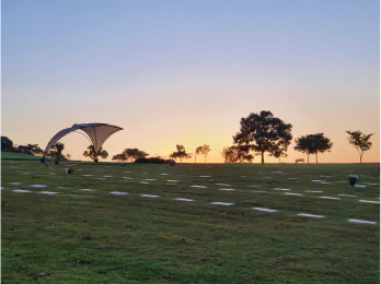 Imagem de um belo pôr do sol em um gramado amplo, com árvores e um céu em tons suaves, evocando tranquilidade e serenidade.