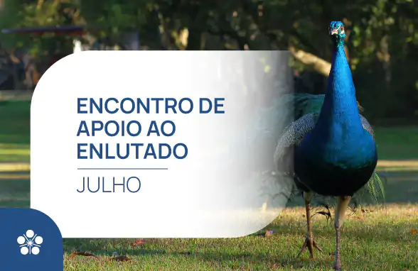 Encontro_apoio_ao_luto_julho_2026
