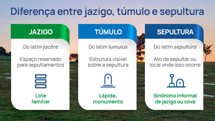 Jazigo_infografico