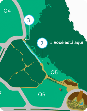 map step2 mob