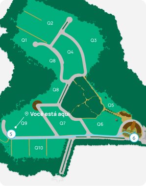 map step5 mob