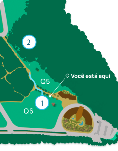 mapa step1