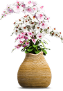 2 assinatura de flores