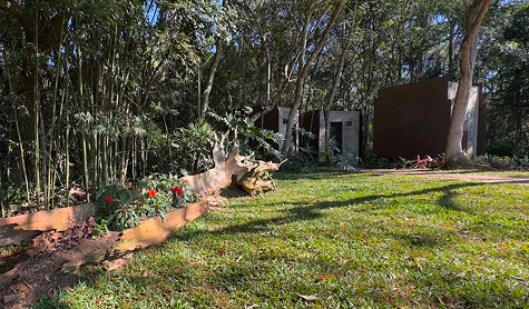 bosque mobile