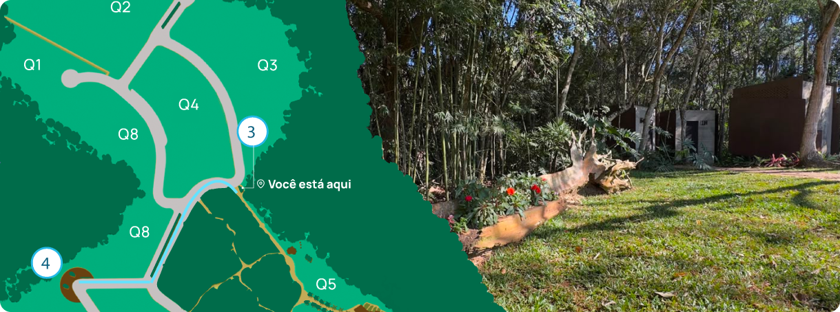 map bosque