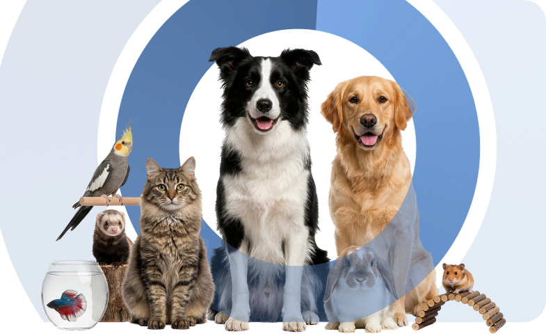 pets 2026